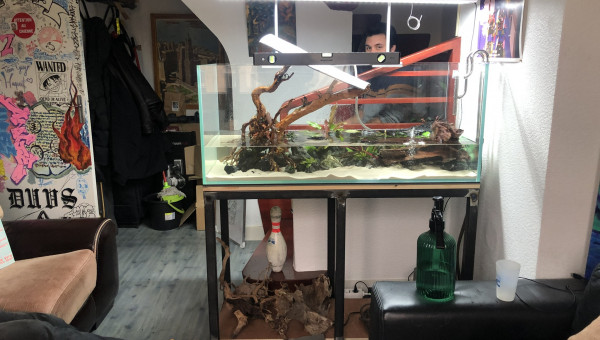 Hard scape et mise en eau