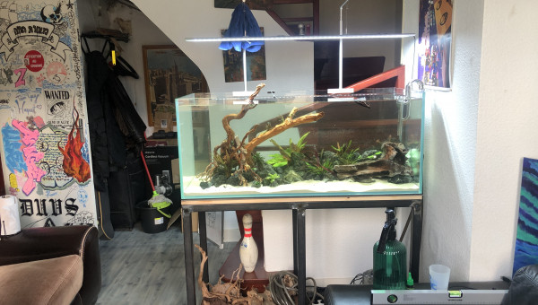 Hard scape et mise en eau