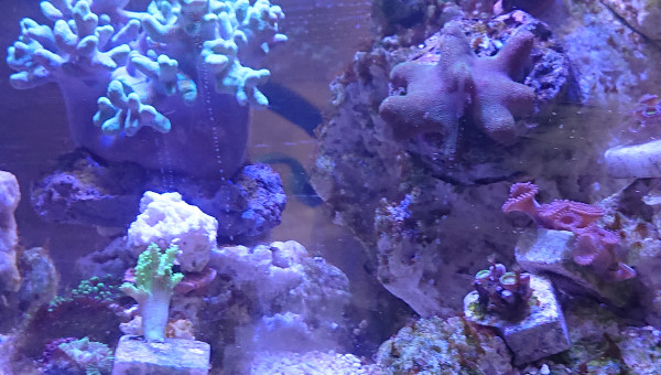 Vue du passage droite