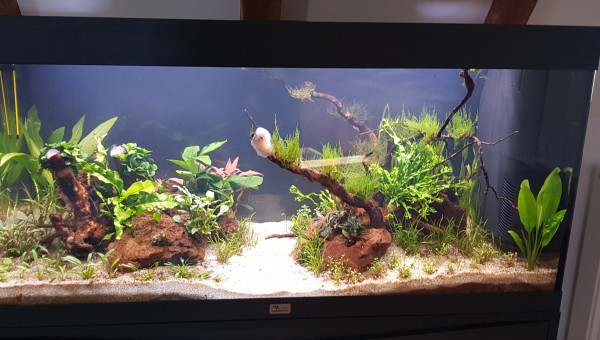 De plus en plus clair...