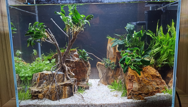 Petit mais chronophage !