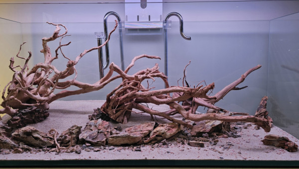 Plantes commandées !