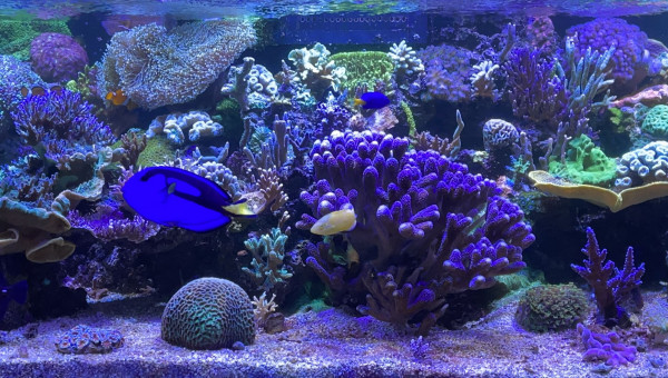 Evolution du bac, mars 2023