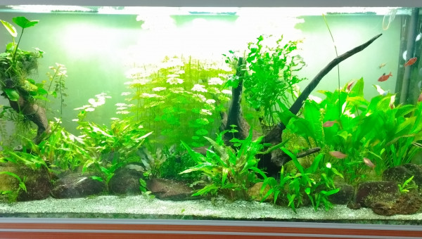 Dernière photo 2ans