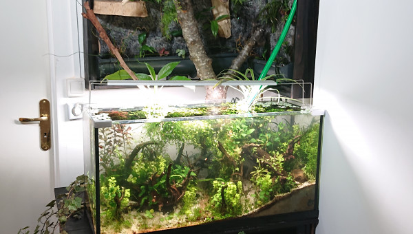 L'ensemble de l'installation ,  :)