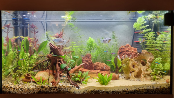 LE CANYON  OCCITAN en mars 2023