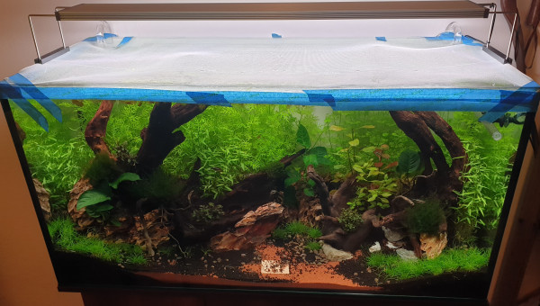 Prototype anti évasion crevettes