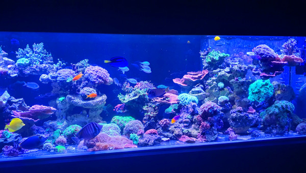 Petite photo au réveil