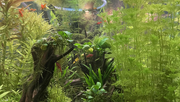 Fin de journée en détente