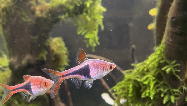 Tour d’horizon de la population