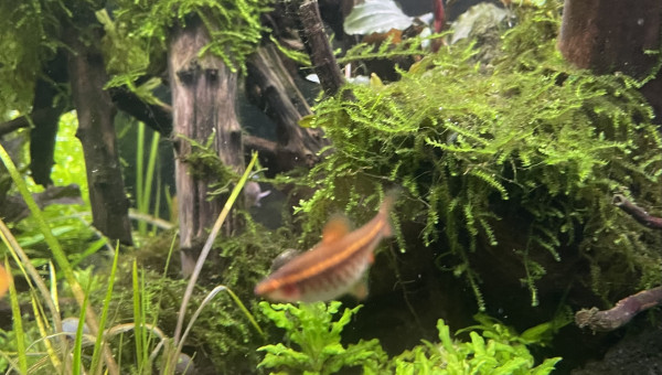 Tour d’horizon de la population