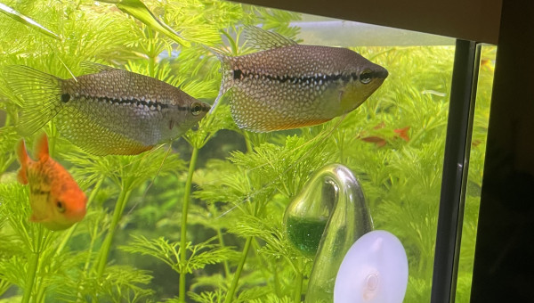 Tour d’horizon de la population