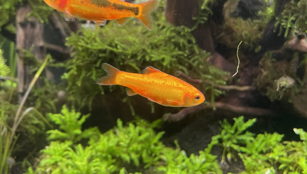 Tour d’horizon de la population