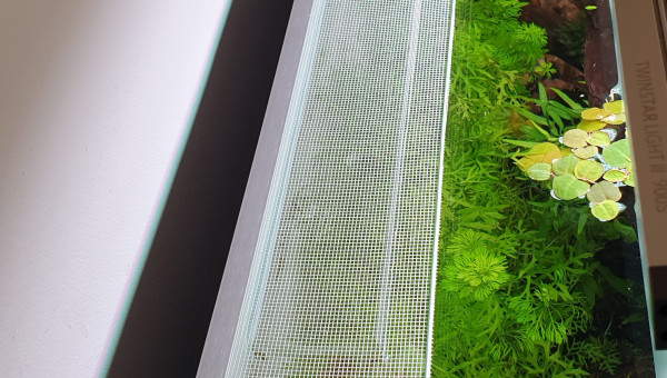 Anti évasion crevettes mis au propre