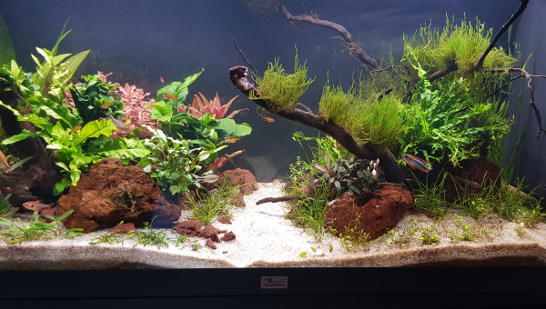 Photo de la semaine (13)