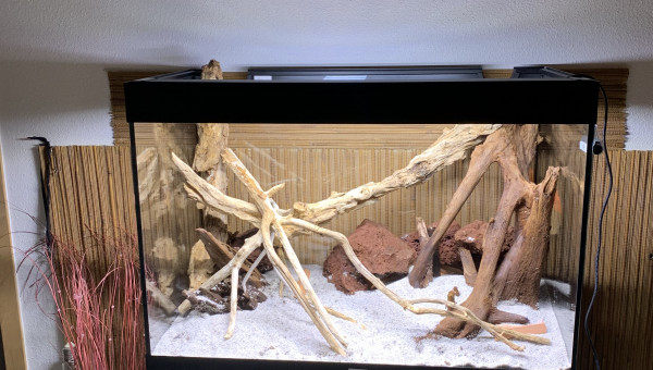 Mise en place du décor