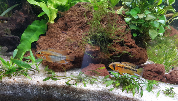 Entretien du 11 avril 2023