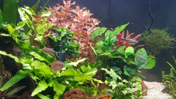 Entretien du 11 avril 2023