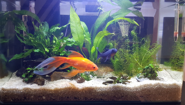 Entretien du 11 avril 2023