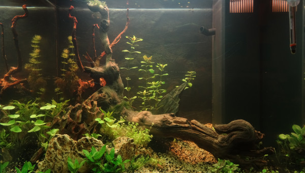 Sanctuaire  : Jour 10