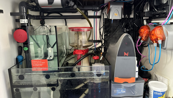 Décantation Reefer 250