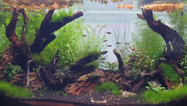 Trois mois d'existence