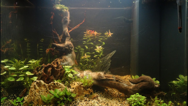 Sanctuaire  : Jour 20