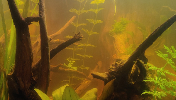 On se rapproche de l'objectif !