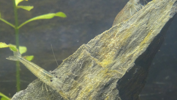 Sanctuaire  : Jour 22