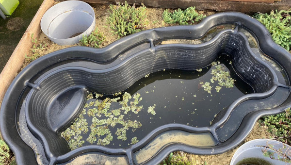 11/2022 mise en eau du bassin