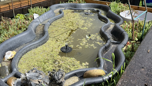 premier printemps du bassin