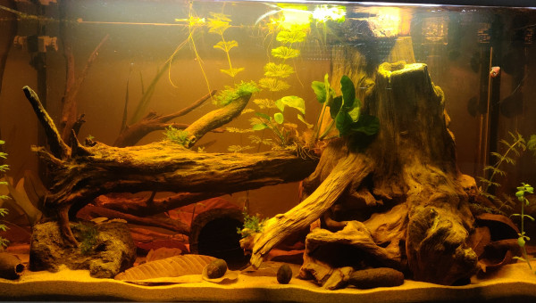 Les tanins se concentrent