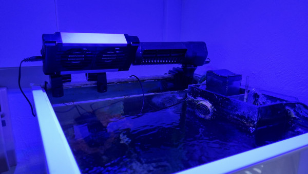 Préparation du plan Canicule 2023