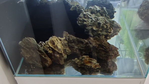 Harscape collé à la cyano + serviette papier marron