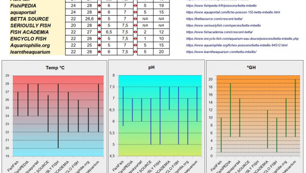 Fiche Betta Imbellis