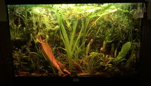 Mise à jour du 15/05/23