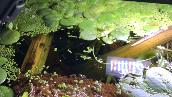 Mise à jour du 15/05/23