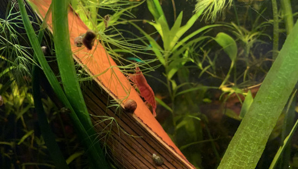 Mise à jour du 15/05/23