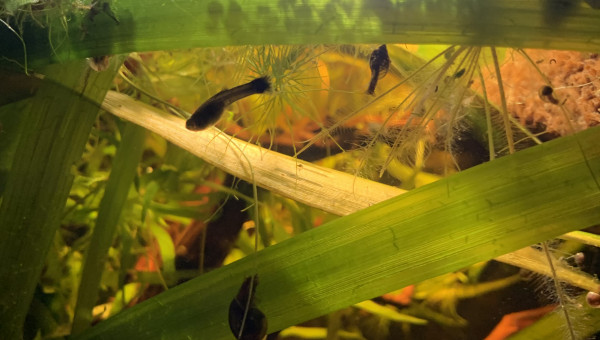 Mise à jour du 15/05/23