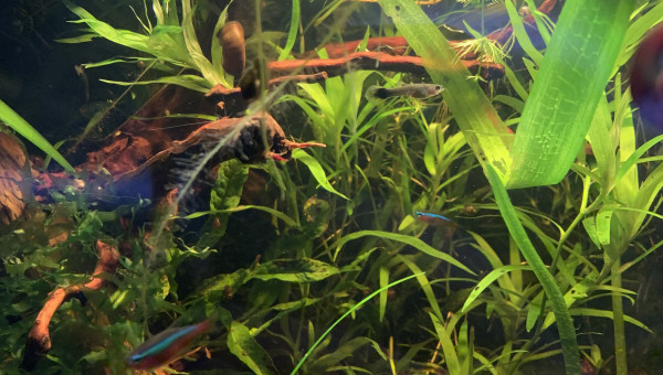 Mise à jour du 15/05/23