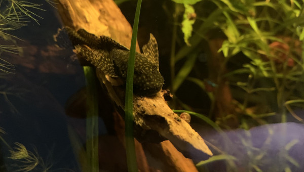 Mise à jour du 15/05/23