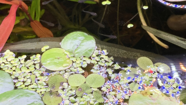 Mise à jour du 15/05/23