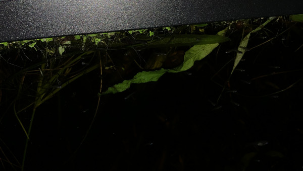 Mise à jour du 15/05/23