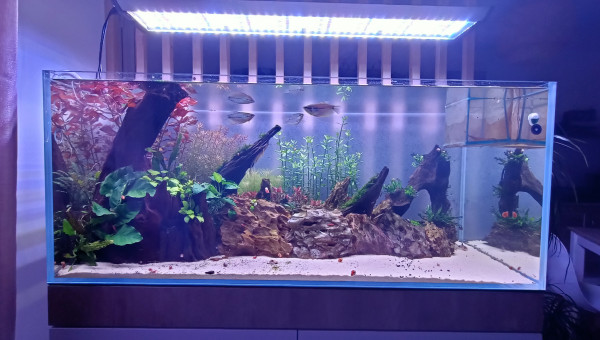 1 mois après la mise en eau