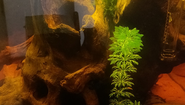 Moultes choses ce sont passées en 1 mois