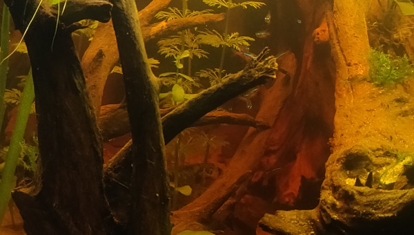 Moultes choses ce sont passées en 1 mois