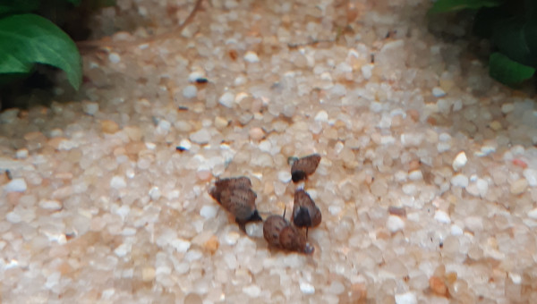 J'en avais pas, donc j'en ais mis :) Au boulot petits soldats !!!