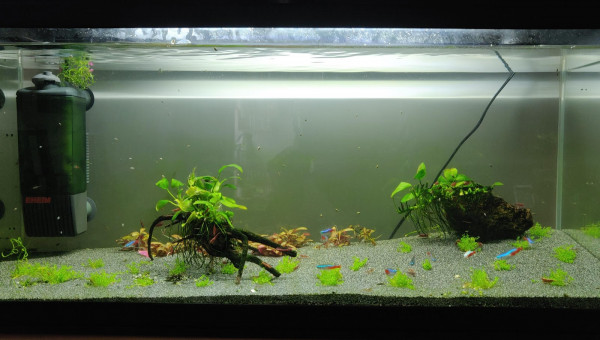 nouvelle orga du bac