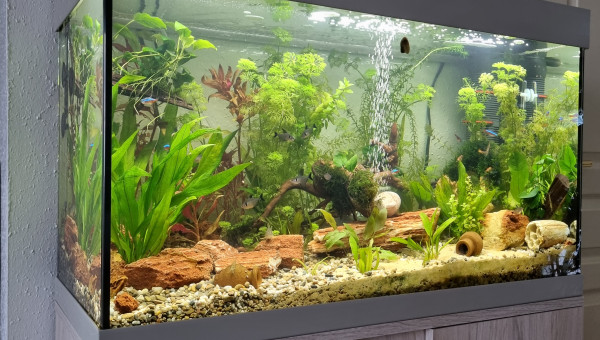 LE CANYON  OCCITAN vue d'ensemble