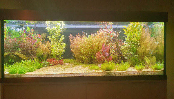 Quelques nouvelles !